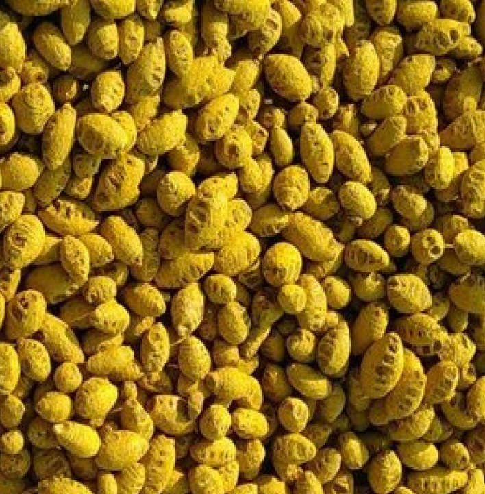 Nizamabad Turmeric