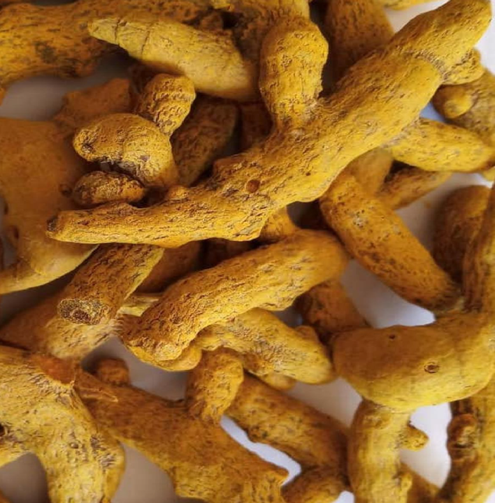 Sangli Turmeric